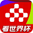央视频TV