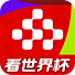央视频TV